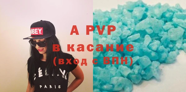 индика Алексин
