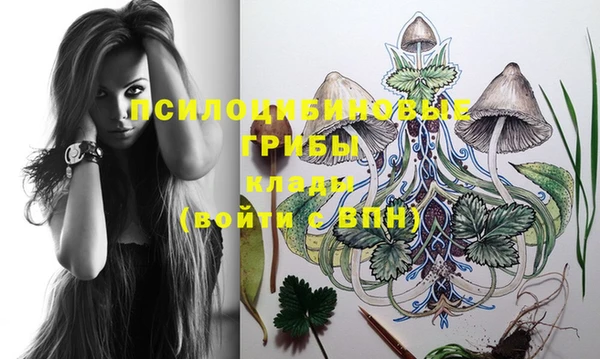 дурь Алексеевка