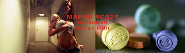 индика Алексин