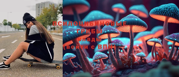 дмт Алзамай