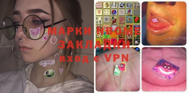 индика Алексин