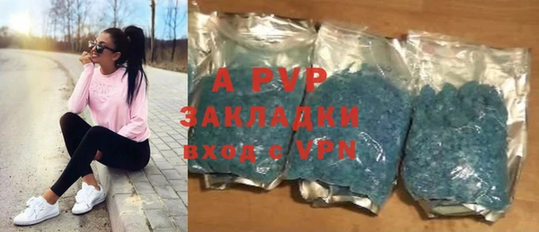 индика Алексин