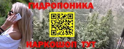 соль курить ск Шелехов