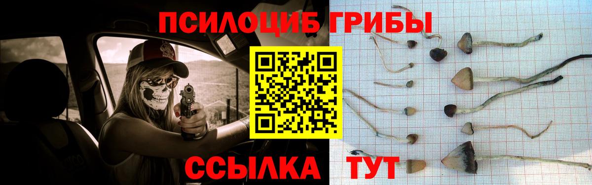Псилоцибиновые грибы MAGIC MUSHROOMS  Вход с VPN  Амурск 